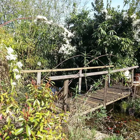 Palu * Lazise
