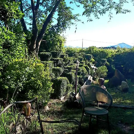 Palu Bed & Breakfast