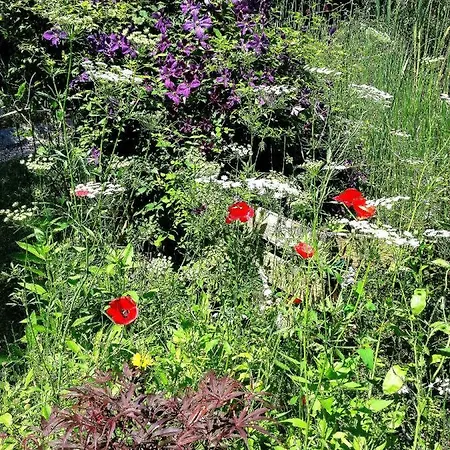 Oda ve Kahvaltı Palu Lazise