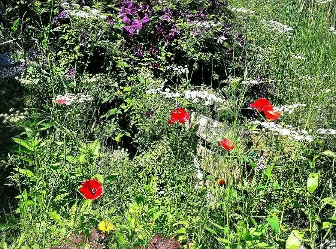 Couette-café Palu Lazise